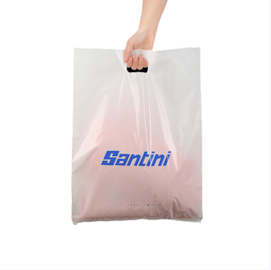 Custom Logo Printed Plastic Die Cut Handle Carry Shopping Packaging Bags for Shoes and Clothing Retail Shopping Plastic Bags