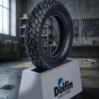 Pneu de moto Dolfin (TT) 3.00-17 6 PR Arrière-DAZ |   Pneu à chambre à air |   Pneu arrière de moto de qualité supérieure