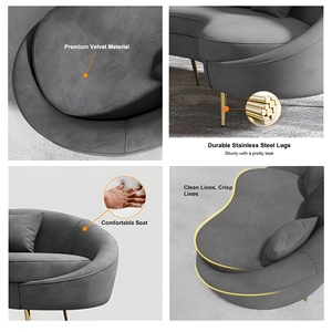 โซฟาผ้ากำมะหยี่สีเทาโค้งมน 2 ที่นั่ง สไตล์โมเดิร์นหรูหรา ขาโลหะทรงเรียวสีทอง เฟอร์นิเจอร์ตกแต่งห้องนั่งเล่นสุดหรู ปรับแต่งได้ตามต้องการ-OEM/ODM - Product Image 3