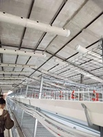 Cage à poules pondeuses de type H à haute capacité de production avec grillage métallique, sortie d'usine, pour 10 000 oiseaux, état neuf, cages pour animaux pondeuses