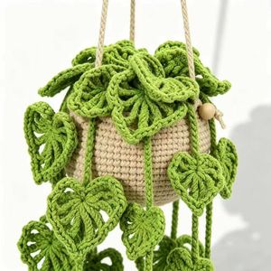 Kit de crochet <span class=keywords><strong>pour</strong></span> plantes <span class=keywords><strong>en</strong></span> pot avec un ensemble complet d'accessoires de crochet, tutoriels vidéo <span class=keywords><strong>en</strong></span> <span class=keywords><strong>anglais</strong></span> <span class=keywords><strong>pour</strong></span> <span class=keywords><strong>débutants</strong></span>, comme décoration d'intérieur ou cadeau DIY - Product Image 3