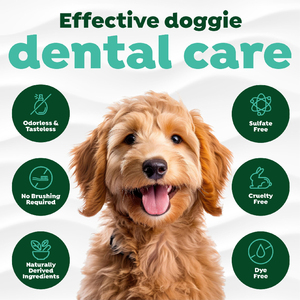Aditivos Dentales para Mascotas con Aroma a <span class=keywords><strong>Aliento</strong></span> Fresco, Solución <span class=keywords><strong>de</strong></span> Limpieza sin Necesidad <span class=keywords><strong>de</strong></span> Pasta Dental ni Cepillo, Productos para el Cuidado Dental <span class=keywords><strong>de</strong></span> Perros y Gatos - Product Image 4
