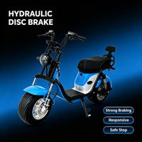 60V 2000W Rear Drive Electric Motorcycle Max Speed 60km/h Hydraulic Disc Brake Adult Electric Scooter