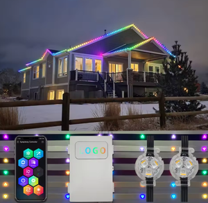 Logotipo personalizado Led Pixel 12V Punto de luz Fuente Exterior Impermeable Navidad Luz Rgbw Led Permanente Navidad Iluminación - Product Image 1