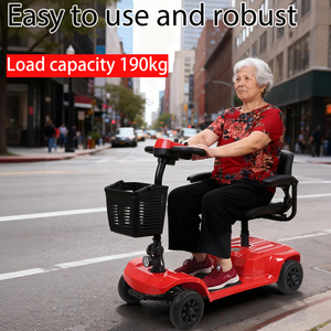 Monopattino Elettrico Pieghevole Seedream X-02 LUCAS PRO 12V 24AH 300W con Cestino e Bracciolo per Mobilità Urbana, Spedizione UE - Product Image 1