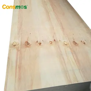 Cdx Pine Plywood MR Melamine Glue Hardwood Poplar CDX Pine Shuttering Plywood For Roofing