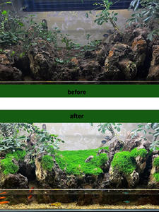 30g US livraison de stock locale mousse artificielle séchée mousse artificielle verte bricolage mousse pour la maison fête mariage décoration de noël - Product Image 4