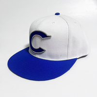 Topi Baseball Bordir Logo Huruf 3D Warna Putih Akrilik Kustom Grosir, Bahan Polyester/Katun, Snapback Sporty, Ukuran Dapat Disesuaikan