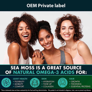 OEM Private Label Organic Irish <strong>Sea</strong> <strong>Moss</strong> Capsules Natural Burdock Root Irish <strong>Moss</strong> and Bladderwrack Capsules - Product Image 5