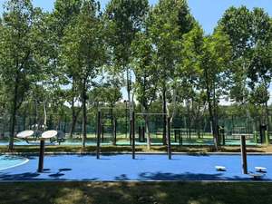 Barres parallèles en acier <span class=keywords><strong>de</strong></span> haute qualité, équipement <span class=keywords><strong>de</strong></span> fitness en plein air pour aire <span class=keywords><strong>de</strong></span> jeux et salle <span class=keywords><strong>de</strong></span> sport - Product Image 4