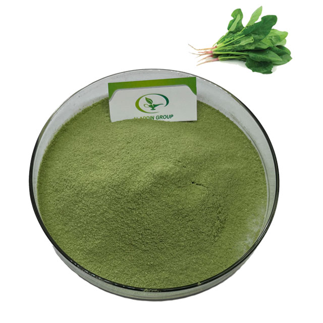 HALAL high quality freeze dried vegetable powder 100% organic pure nature freeze dried spinach powder