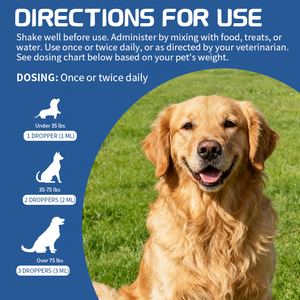 Gouttes immunitaires pour animaux de compagnie, soutien immunitaire et santé du foie, liquide pour chiens et chats, complément tout-en-un, gouttes immunitaires - Product Image 5