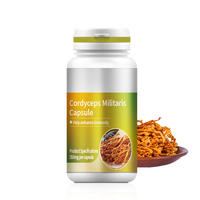 Capsules de Cordyceps Militaris Changxing en marque privée OEM, 350 mg, complément immunitaire