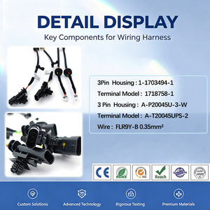 定制 FLR9Y-B 0.35mm 后雾灯 PVC 线束 300mm 带外壳 1-1703494-1 端子 967067-<span class=keywords><strong>2</strong></span> 适用于特定汽车 - Product Image 2