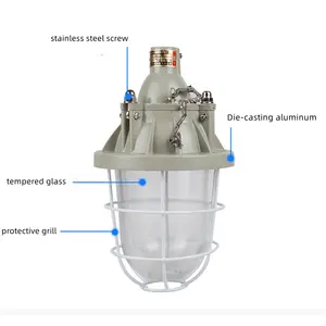 IP65 ATEX 400w 1000w hid防爆ガス防水LEDランプ高圧ナトリウムランプ