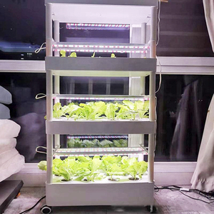 Vertical <b>Hydroponic</b> Growing <b>Tower</b> Shelf Space Saving Plant Cultivation Rack Indoor Lettuce Herb Strawberry Grow Stand - Product Image 6