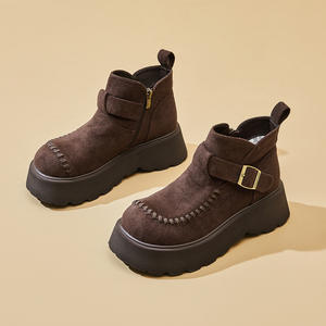 Botines de Mujer Otoño 2026, Estilo Europeo Clásico, Moda Coreana, con Cordones y Tacón Grueso - Product Image 2