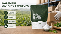 Offre Spéciale : Meilleure Poudre d'Extrait Végétal Blanc EGCG 95% de Qualité Alimentaire 1kg – Prix Abordable