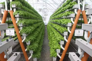 Soporte para cultivo hidropónico vertical grande | Diseño modular multicapa para verduras y hierbas - Product Image 4