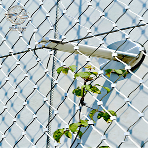 Filet de Corde pour Plantes Grimpantes |   Treillis de soutien pour plantes grimpantes |   <span class=keywords><strong>Serre</strong></span> personnalisée et filet de jardinage vertical - Product Image 1
