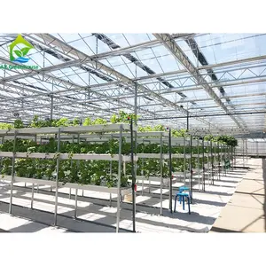 High-tech gewächshaus verwendet aquaponics systeme für kommerziellen aquaponic sets verkauf