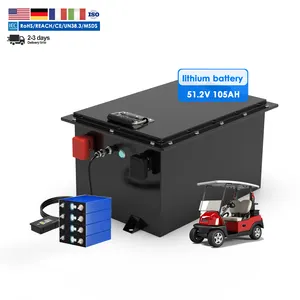 Batteria Golf Cart batteria 12v 24v 36v 48v 51.2v 72v 100AH Lifepo4 agli ioni di litio con Software intelligente sistema BMS