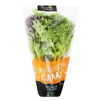 Sac de laitue en plastique d'emballage de fruits et légumes frais BOPP antibuée à impression personnalisée