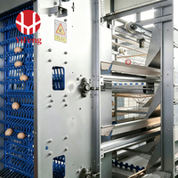 Cage à poules automatique de type H, 4 ou 5 niveaux, haute densité, pour 20 000 oiseaux, en acier galvanisé à chaud, poulailler OEM