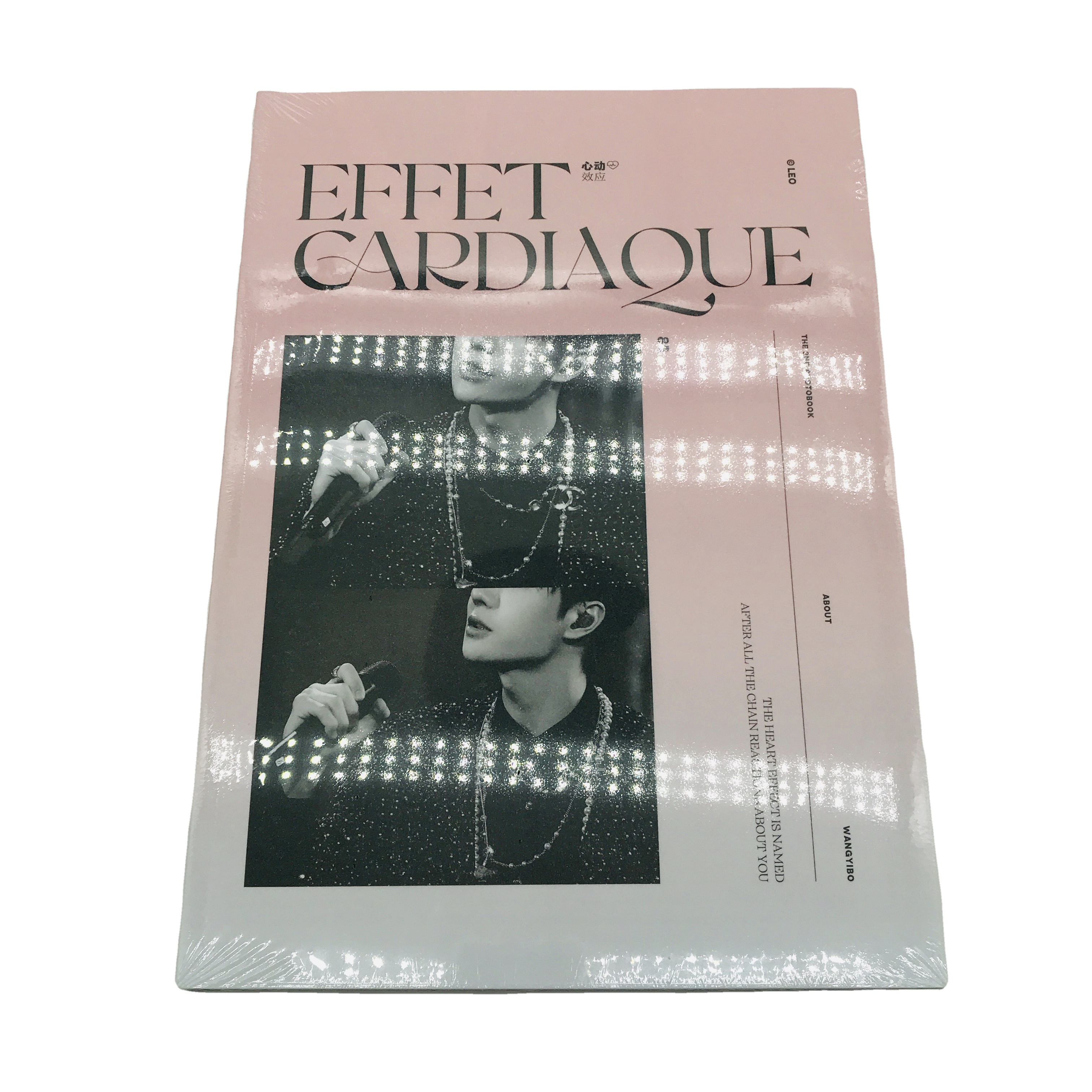 SM-YB179 по индивидуальному заказу по продвижению компании и введение профессиональный каталог