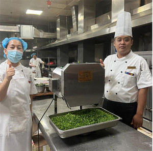 Cortadora de verduras completamente automática Cortadora de cebollín comercial - Product Image 5