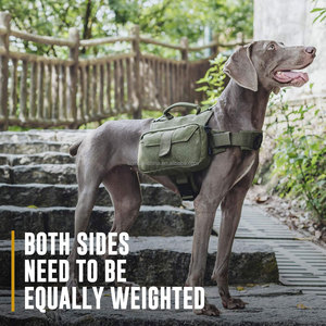 กระเป๋าเป้สะพายหลังสุนัขแบบกำหนดเองกระเป๋าเป้สะพายหลังสุนัขเดินป่ากระเป๋าเป้สะพายหลังสายคล้องพร้อมกระเป๋าด้านข้างสำหรับสัตว์เลี้ยงขนาดกลางขนาดใหญ่การเดินทางกลางแจ้ง - Product Image 5