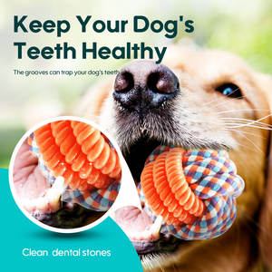 En popüler tüm satış TPR pamuk halat köpek topu oyuncaklar dayanıklı köpek topu oyuncak yüksek kalite çiğnemek pet oyuncaklar top - Product Image 5