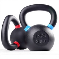 Nouvelle Arrivée Kettlebell en Fonte Massif Hardcast avec Anneaux Colorés et Finition Électrolytique pour Usage Domestique, Poids Libres, Option Logo Personnalisé