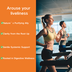 Cápsulas de Raiz de Bardana (Niu Bang Gen) de Ervas Tradicionais Chinesas |   Certificado GMP - Product Image 2