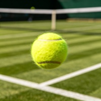 Balles de tennis de compétition de haute qualité à rebond élevé, 45 % de laine, logo personnalisé, vente en gros