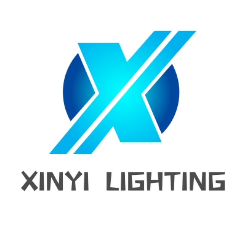 Donggaun Xinyi Technology Co., Ltd. logo