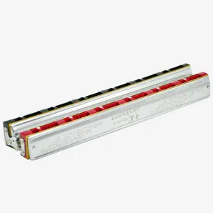Adult Playing Band Performance Group Ensemble Double Row Duo 24 Group 48 Group Chord Harmonica