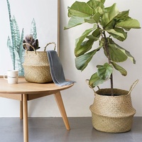 Panier de plantation en jonc de mer tissé à la main, pot de plantes, d'intérieur et d'extérieur, récipients pour décoration de la maison, 5 pièces