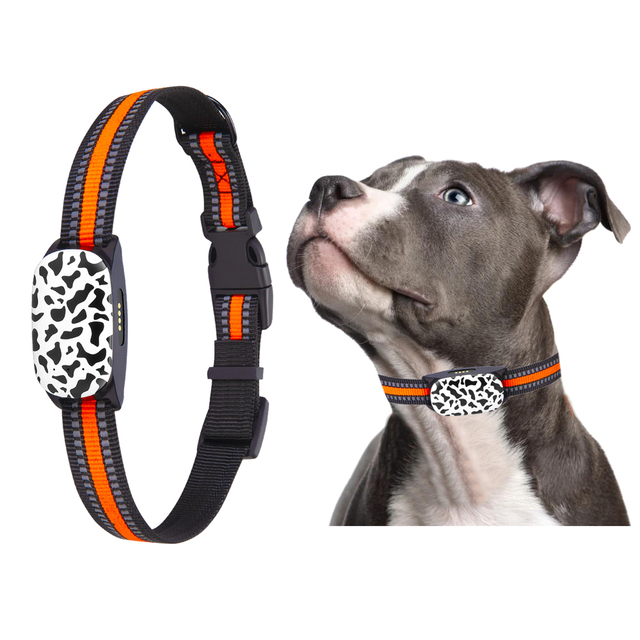Best Price Real Time Tracking 4G LTE GPS Tracker G61 Smart Geo Fence Pet Waterproof Collar Health Fitness Monitoring for Dog Cat