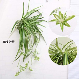 Maohui Crafts - Planta Artificial Colgante, Color Verde, 30 cm-100 cm, Decoración de Interiores, Accesorios para Bodas - Product Image 4