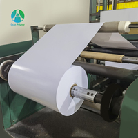 Rouleau de PVC brillant mat de 0,3 mm résistant aux UV, diffuseur de lumière blanche, feuille de PVC rigide pour abat-jour