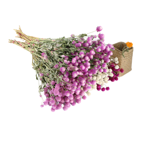 Fiori Secchi all'Ingrosso, Fiori di Amaranto Globo, Gomphrena Globosa Naturale Essiccata per Decorazioni Domestiche e Oggetti di Scena Fotografici - Product Image 5