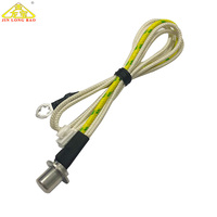 OEM/ODM Capteur de température Ntc étanche personnalisé Cuiseur à riz à induction Capteur à thermistance Ntc100k Haute précision