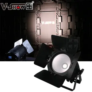 V-Show High Power Outdoor Led Studio Par 200W Gouden Led Cob Outdoor Par Licht