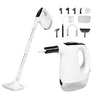 Nettoyeur Vapeur Professionnel Haute Pression pour Voiture, Machine de Nettoyage à Vapeur Portable