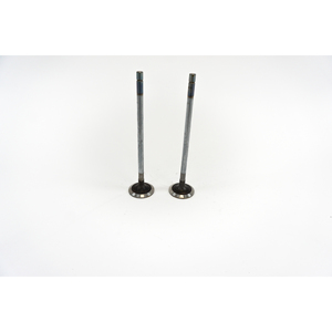 Valvola di aspirazione adatta per motori IVECO 5802041432 - Product Image 2