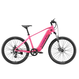 Hibrid 7 hız 250w çift pil aostirmotor elektrikli orta sürücü pro bisiklet trail akez dağ bisikleti yetişkinler için kadın