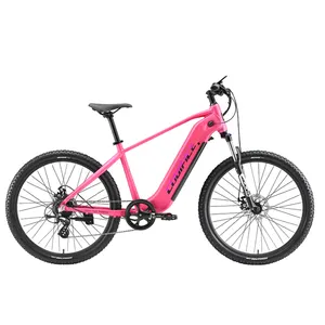 Pilha elétrica híbrida de 7 velocidades, 250w, bateria dupla, aostirmotor, pro, trilha de bicicleta, akez, mountain bike para adultos, feminino