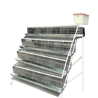 Cages à étages pour l'élevage de poulets de chair et de poules pondeuses, équipement d'élevage avicole, poulailler de reproduction, cage à œufs de type A pour poules pondeuses