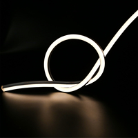 WITOP 10x10MM IP67 8mm LED Neon Light avec couleurs personnalisées 120LEDs/m 24V pour le bricolage et l'utilisation du paysage